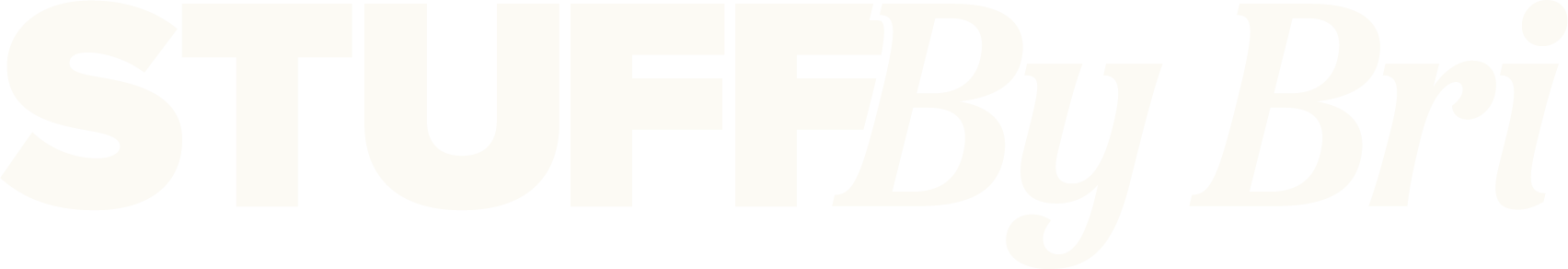 StuffByBri_Logo_White_Horz